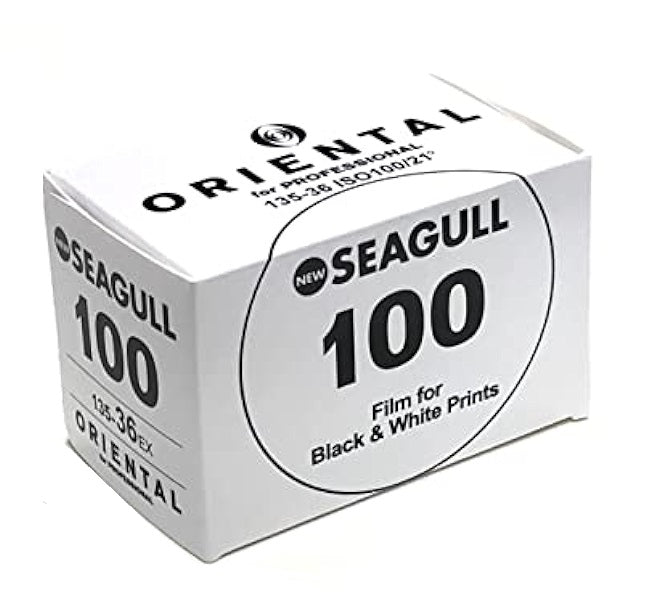 Oriental Seagull 100