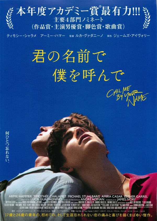以你的名字呼喚我 Call Me by Your Name（2017）2 side B5 Movie Flyer with Plastic Holder