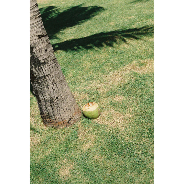 Mr. Negative Fragile 400 - 36exp 135/35mm Color Negative Film – Panda ...