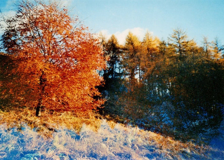 Kodak Portra 400