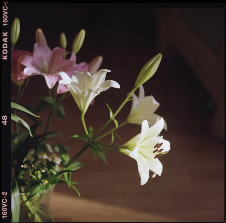 Kodak Portra 160
