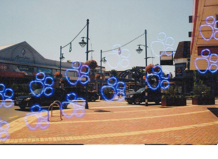 KONO! KATZ (cat) Effect - 24exp, 135/35mm Special Effect Color Negative Film - Panda Camera